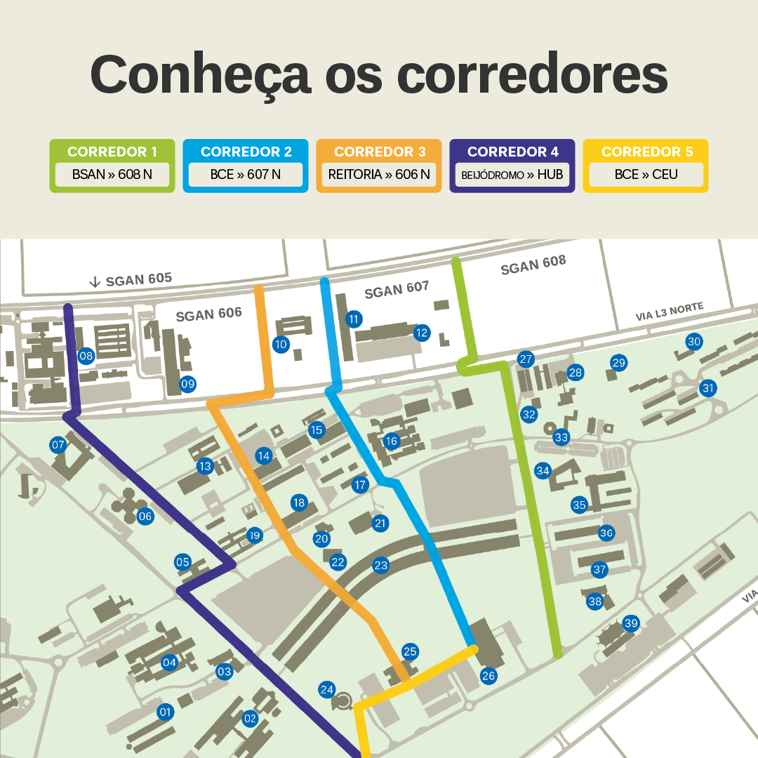 Card 7 Corredores de segurança B